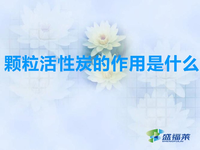 顆?；钚蕴康淖饔檬鞘裁?></div>
</a>
</li>
 
<li id=