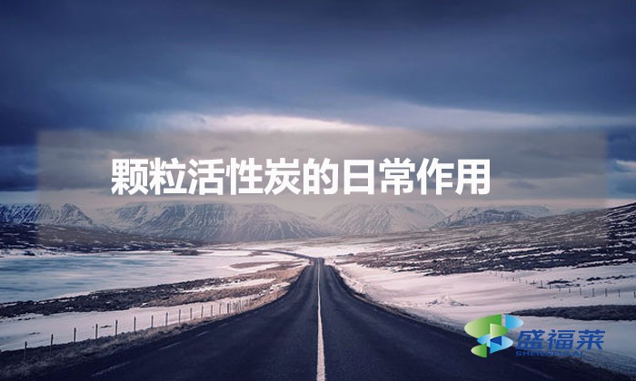 顆?；钚蕴康娜粘Ｗ饔茫ㄕ_選擇活性炭顆粒）