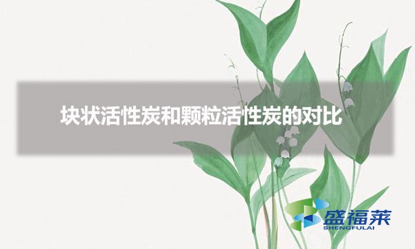 塊狀活性炭和顆粒活性炭的對比（塊狀和顆?；钚蕴坑心男┎煌?></div>
</a>
</li>
 
<li id=