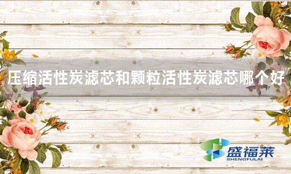 壓縮活性炭濾芯和顆?；钚蕴繛V芯哪個好 好在哪里？
