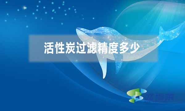 活性炭過濾精度多少，能過濾多大的雜質(zhì)？