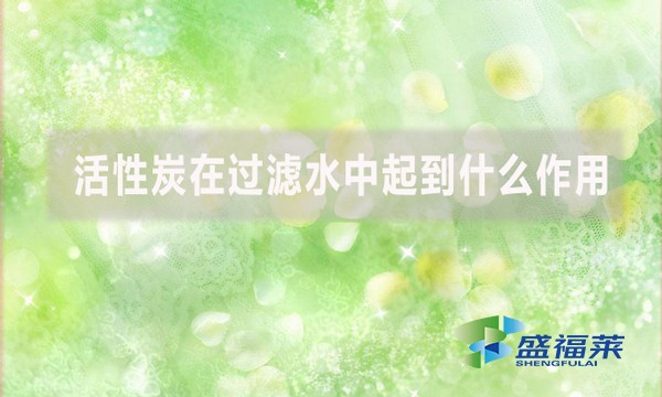 活性炭在過濾水中起到什么作用？