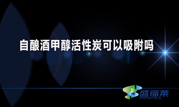 自釀酒甲醇活性炭可以吸附嗎？