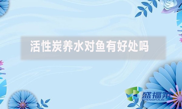活性炭養(yǎng)水對魚有好處嗎？