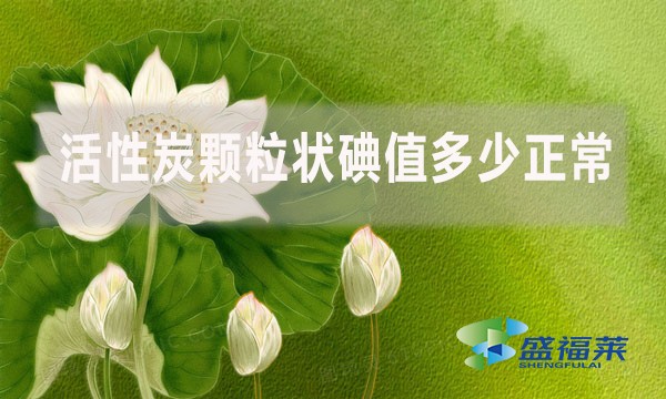 活性炭顆粒狀碘值多少正常？