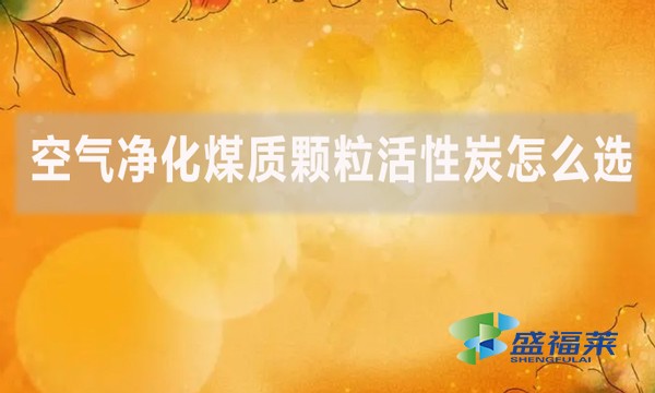 空氣凈化煤質(zhì)顆?；钚蕴吭趺催x？