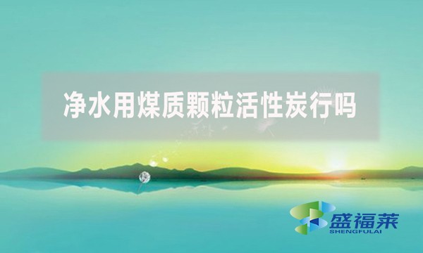 凈水用煤質(zhì)顆?；钚蕴啃袉?？