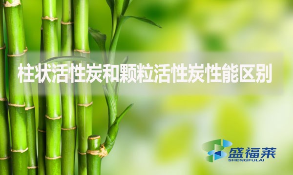 柱狀活性炭和顆?；钚蕴啃阅軈^(qū)別