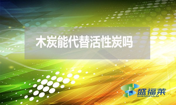 木炭能代替活性炭嗎？為什麼 ？
