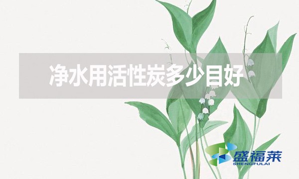 凈水用活性炭多少目好？有哪些優(yōu)缺點？