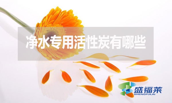 凈水專用活性炭有哪些？多少錢一噸？