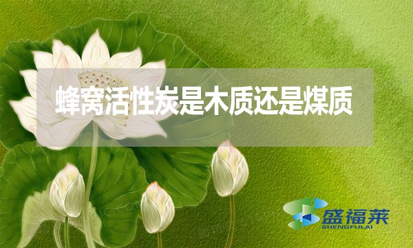 蜂窩活性炭是木質還是煤質？哪種好？