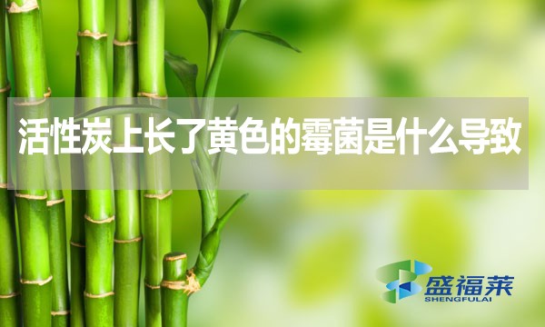 活性炭上長了黃色的霉菌是什么導致的？還能不能使用？
